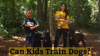 Can Kids Train Dogs? - Watch a Giant Schnauzer Learn Basic Commands | RoyalGiantSchnauzers.com