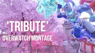 'Tribute'   Overwatch Montage