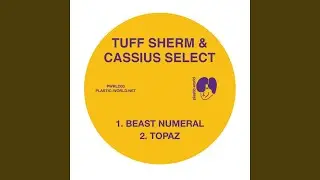 Bruv (Tuff Sherm Remix)