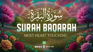 Surah Al-Baqarah Full (سورة البقرة) | Ultimate Quran for Anxiety & Sleep | #lofiquran