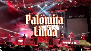 Grupo Legitimo | Huapango Palomita Linda - Huapango La Tracalera