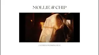 Mollie + Chip | Super 8 Wedding Video