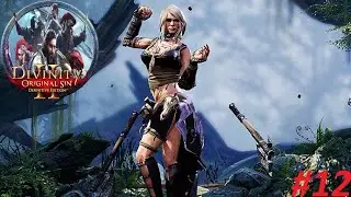 Let's Play Divinity Original Sin 2 Definitive Edition(PS5 PRO/4k)#12 Oh nein wir haben keine mehr