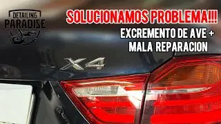 Detailing Paradise - Soluci&oacute;n de problema