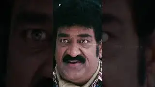 Badrinath Movie Comedy Scenes | #alluarjun #tamannaah #raghubabu | #comedyshorts #shorts