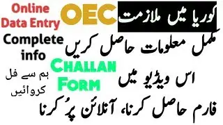 How to Apply for Korea OEC Complete Guidelines