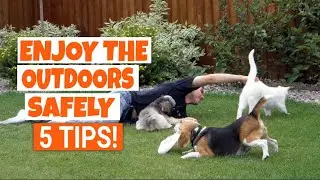 🌈🐶 5 SAFETY TIPS for your PET Outdoors