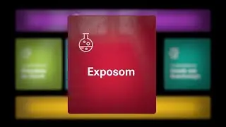 Exposom - Wie Umweltfaktoren und Chemikalien das Innere von Organismen beeinflussen