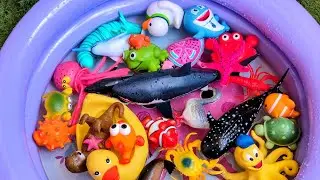 Ocean Animals Learning Playtime for Kids | Fun Sea Animal Toys for Preschoolers