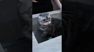 Переходите на наш сайт, чтобы узнать о нашей мебели больше!