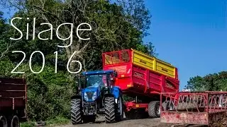 J. Douglas & Son -  Silage 2016