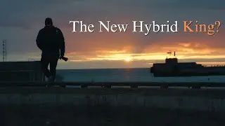 The New Hybrid King?