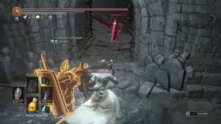 DARK SOULS&trade; III Ring Locations: Knight Slayer's Ring