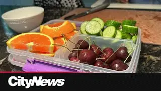 1-in-4 Canadian kids experience lunchbox shaming: study