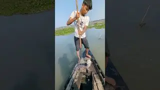 Spear Fishing in the Village River &ndash; Capturing a Giant Fish with Regional Techniques!