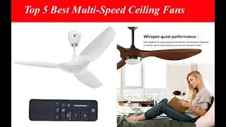 Top 5 Best Multi Speed Ceiling Fans | New Model Multi-Speed Ceiling Fan