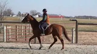 Ocean of Storms ride 12 24 25