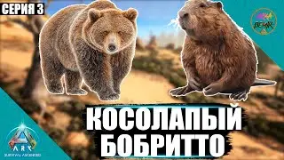Бобрито и Косолапый карта Valguero Ark Ascended СЕРИЯ 3