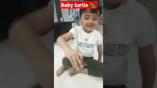 baby play with turtle 🐢#shorts #shortsfeed #viral #trending #cutebaby #turtle #babyplaying