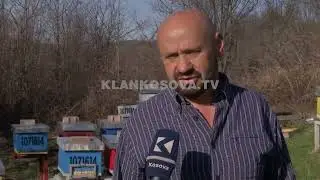 Arusha ha 3 mijë € mjaltë në Marec - 13.03.2023 - Lajmet