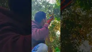 slingshot hunting #reels #youtubeshorts #slingshot #gulel_chalane_ka_tarika