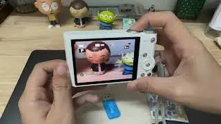 Sony WX300