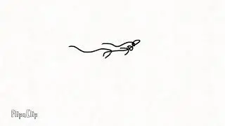 Flight Loop