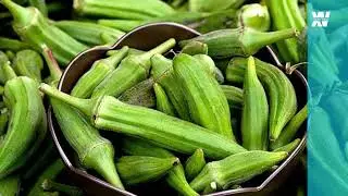 OKRO | Facts you don't know about