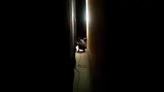 Basel Winterbranch.mp4