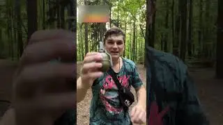💥 Отпугнул медведя петардой #shorts
