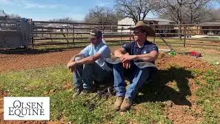 KELLY CONRADO - GREAT BARREL RACING TIPS