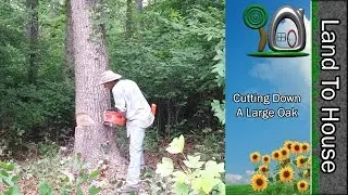 Cut Down a Large Oak