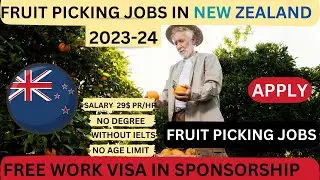 Visa-Sponsored Fruit Picker Jobs in New Zealand | Seasonal Work Visa 2023 | Don't Miss Out!