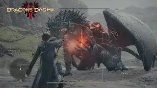 Archer Solo vs Drake (No damage, No pawns, No potions) [Dragon's Dogma 2]