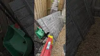 Junk Removal - West Palm Beach, FL