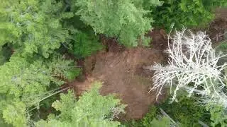 211 N Paradise Dr, Lilliwaup, WA 98555