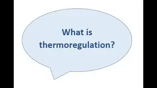 Thermoregulation homeostasis process