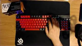 Glorious Panda Switches on a GMMK Full Size typing test