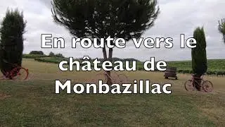 La Dordogne: des vignes et des ch&acirc;teaux