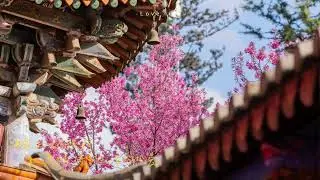 Blend effort into your daily rhythm, entrust your steps to direction. Live day by day, walk step by