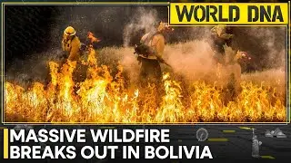 Bolivia: Fierce fire sweeps through protected forest | World DNA | WION