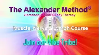 The Alexander Method&reg; Vibrational Sound & Body Therapy: Muscle, Nerve & Lymph course.
