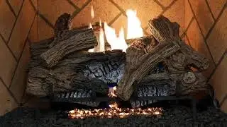 Superior Wild Timber Gas Logs