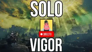 &iquest;PUEDO COMPLETAR ELDEN RING SUBIENDO SOLO VIGOR?