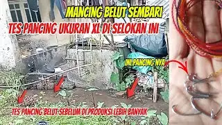 MANCING BELUT‼️ SAMBIL TES PANCING BELUT UKURAN XL UNTUK BELUT KOLAM DAN BELUT SUNGAI