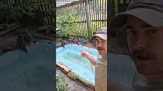 New homesteading project 