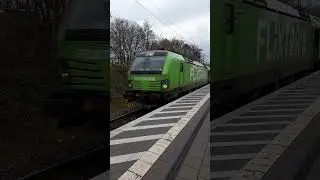 Br. 193 Flixtrain #flixtrain #br193 #vectron #foryou #shortsfeed #shorts #youtubeshorts