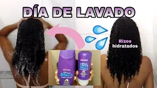 RUTINA DE LAVADO CON PRODUCTOS AUSSIE MIRACLE MOIST |CABELLO AFRORIZADO NATURAL 3C 4A|Rachell Santos