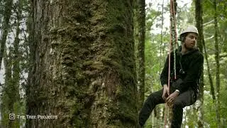 Tarkine BioBlitz x Hobart Recreational Tree Climbing Club