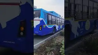 BMTC driver accident video